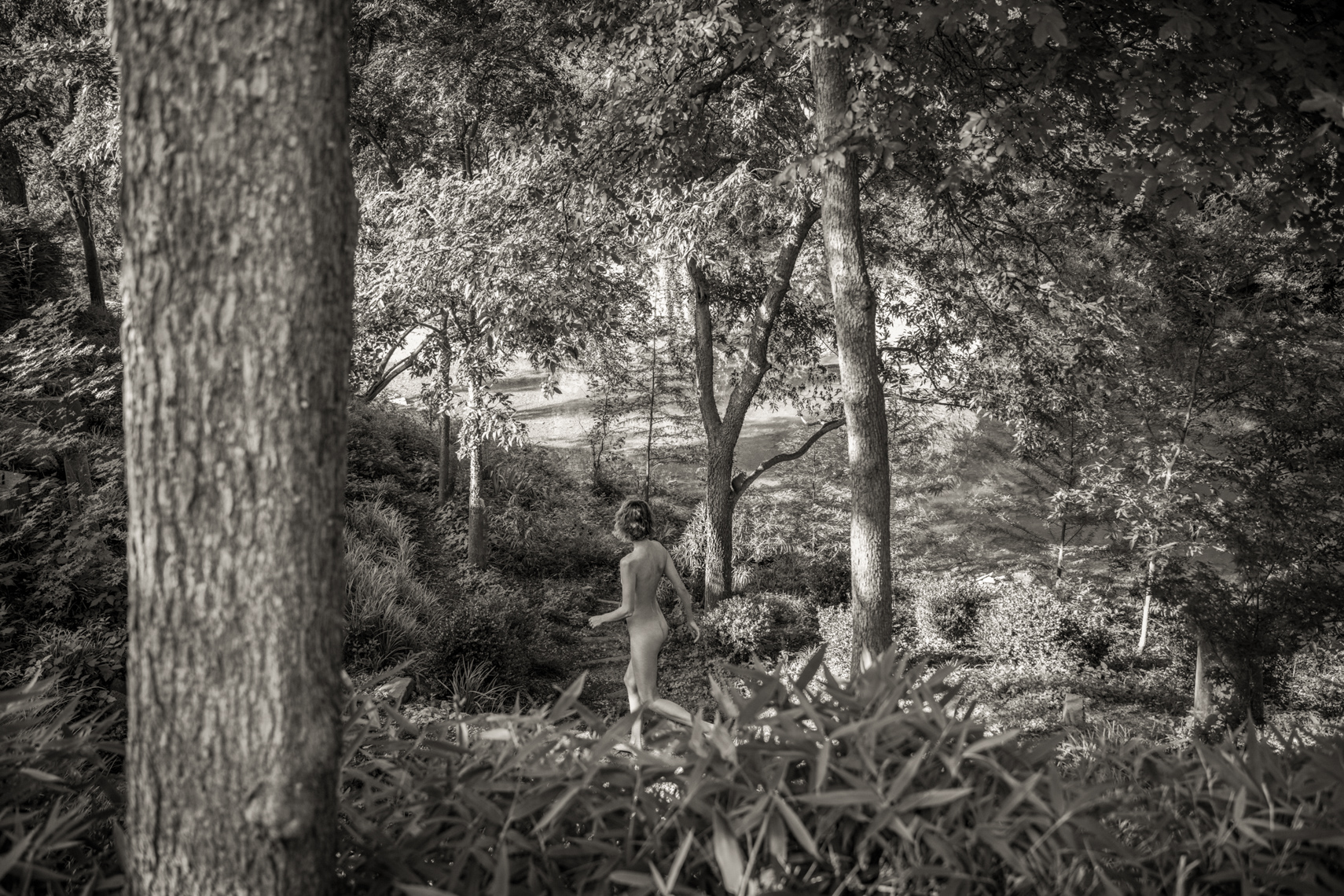 She Wanders