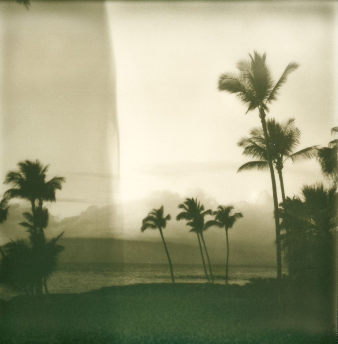 Maui Polaroid 3