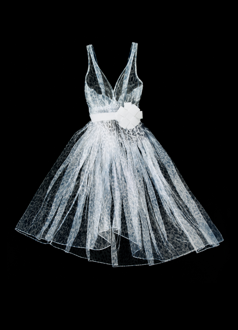 The_Dresses-1