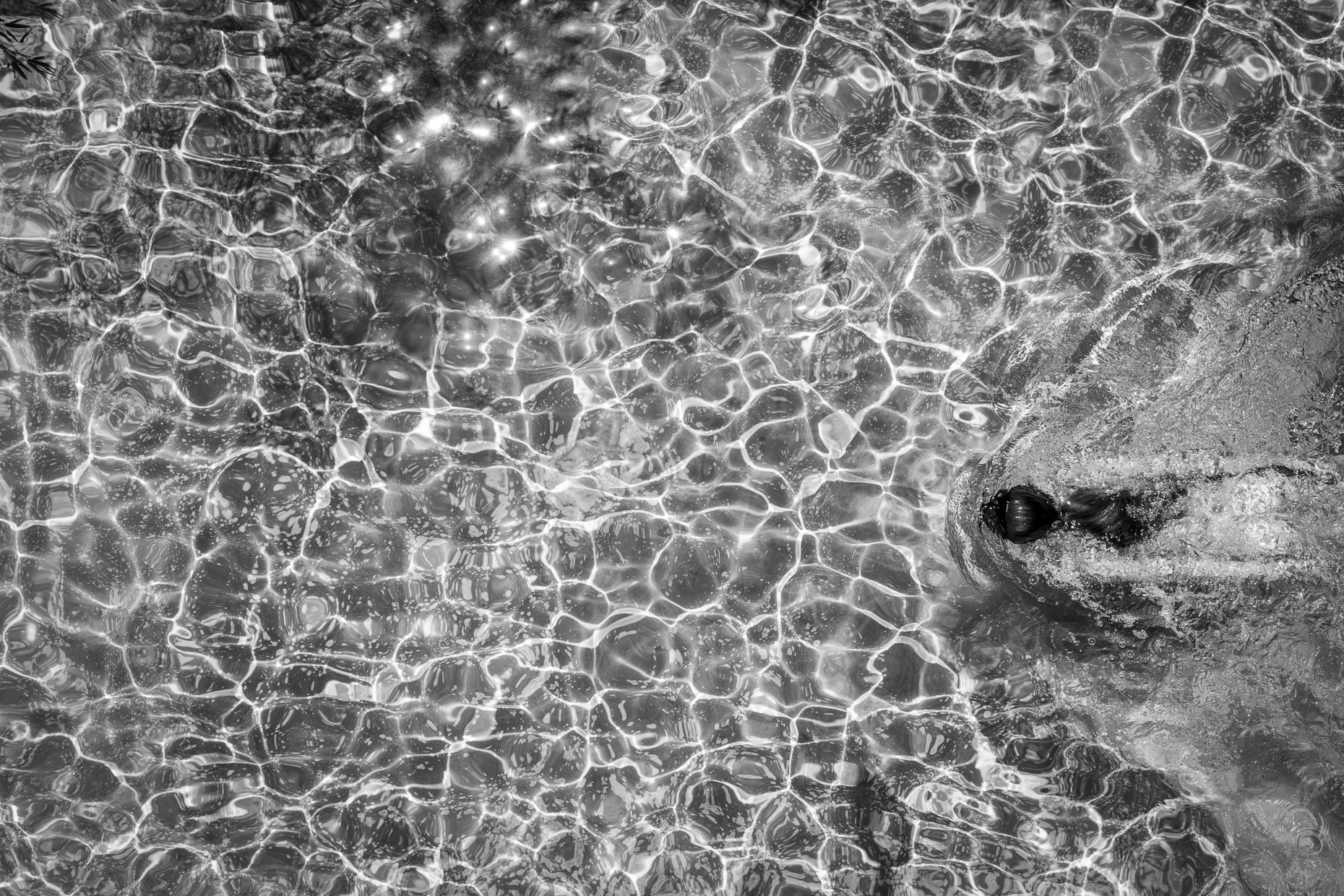 Blurring the Line | Swimming 