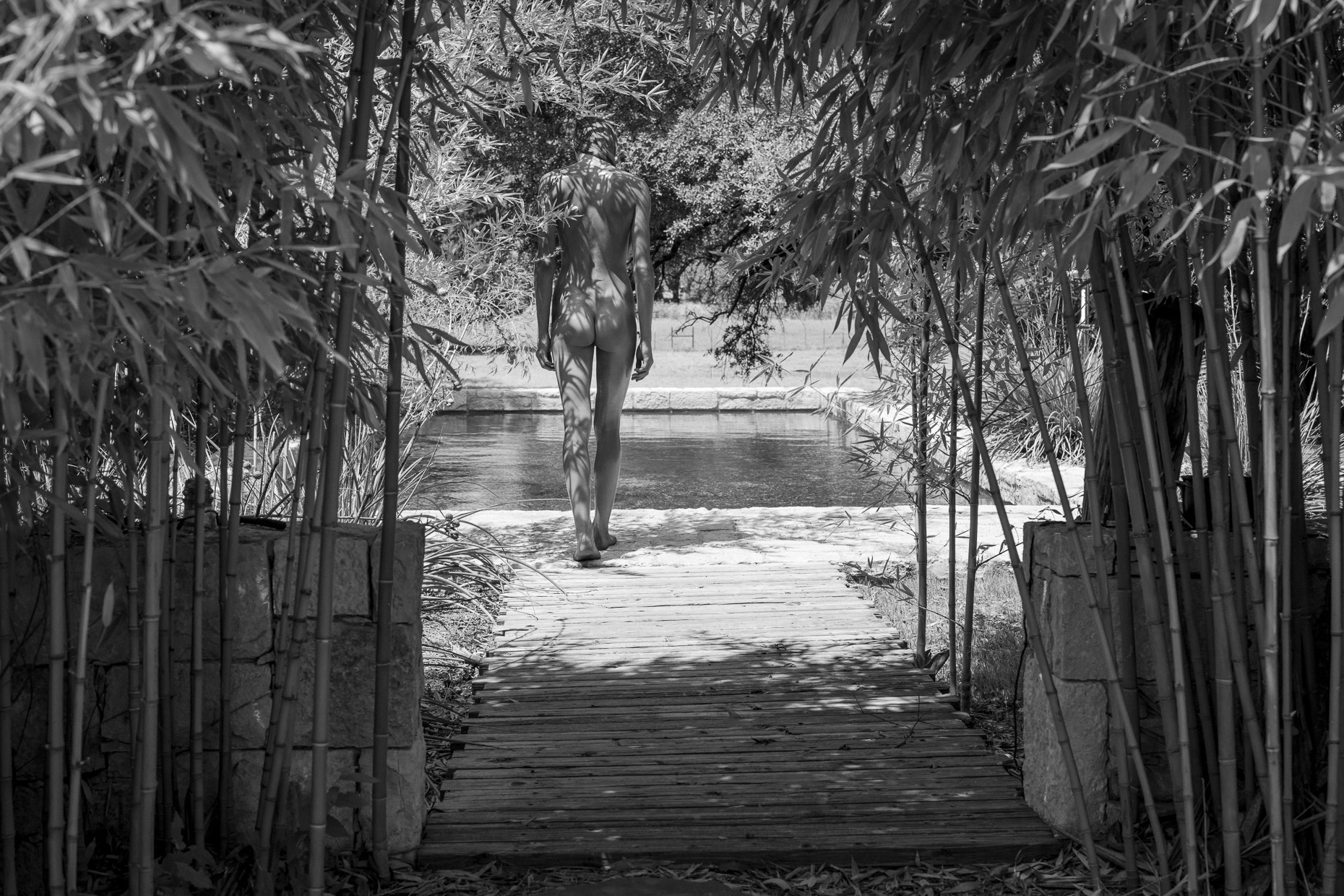 Blurring the Line | Pool Bamboo Nude